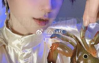 听说Zyra秋的透明系列可以改变你的人生，图库和下载在此！