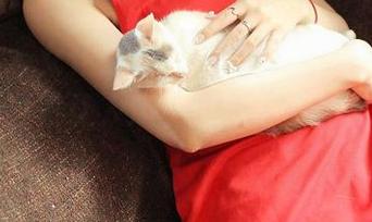 推女神 – 女仆主题又来，Akiki朱若慕的作品集真是让人边看边想…九十度转头啊！