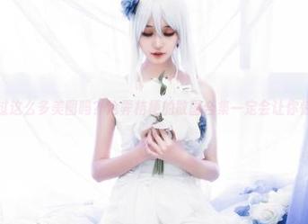 你见过这么多美图吗？沧霁桔梗的散图合集一定会让你惊艳！